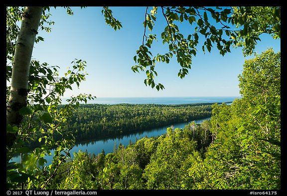 View from Louise Lookout framed by trees. Isle Royale National Park (color)
