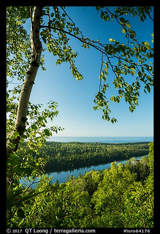 View from Louise Lookout in the summer. Isle Royale National Park, Michigan, USA.