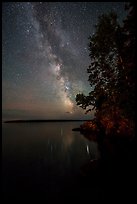 Milky Way and tall trees from Rock Harbor. Isle Royale National Park, Michigan, USA.