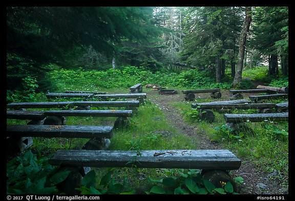 Amphitheater, Rock Harbor. Isle Royale National Park, Michigan, USA.