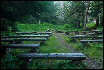 Amphitheater, Rock Harbor. Isle Royale National Park, Michigan, USA.