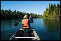 Canoist paddling seen from back, Tobin Harbor. Isle Royale National Park ( color)
