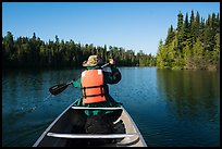 Canoist paddling seen from back, Tobin Harbor. Isle Royale National Park ( color)