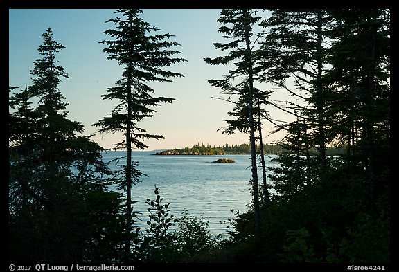 Islands through trees from Tookers Island, late afternoon. Isle Royale National Park (color)