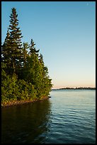 Trees growing at edge of water on Tookers Island. Isle Royale National Park ( color)