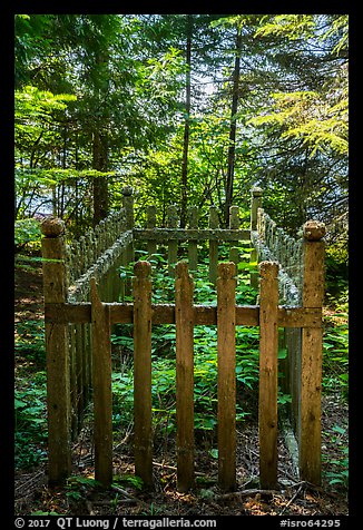 Grave, Bangsund Cabin site. Isle Royale National Park (color)