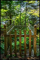 Grave, Bangsund Cabin site. Isle Royale National Park ( color)