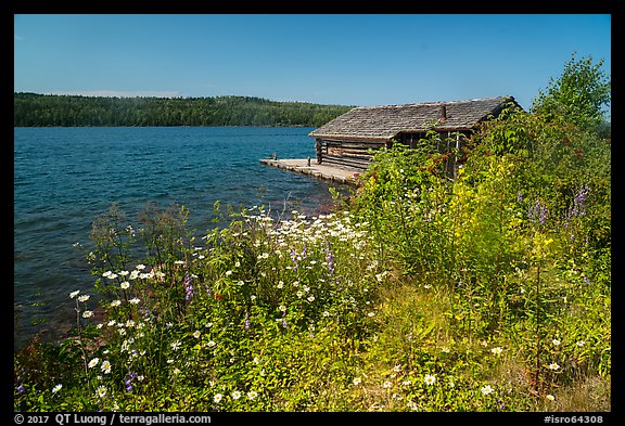 Fish House and wildflowers, Edisen Fishery. Isle Royale National Park (color)