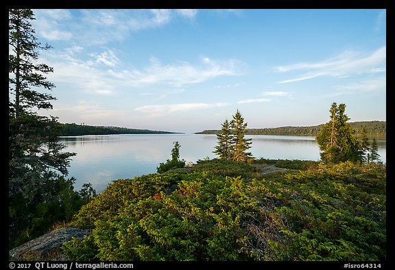 Moskey Basin, late afternoon. Isle Royale National Park, Michigan, USA.