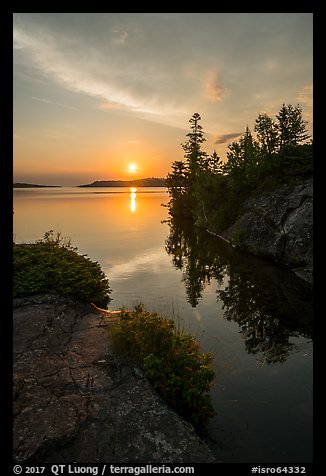 Sunrise and trees, Moskey Basin. Isle Royale National Park, Michigan, USA.