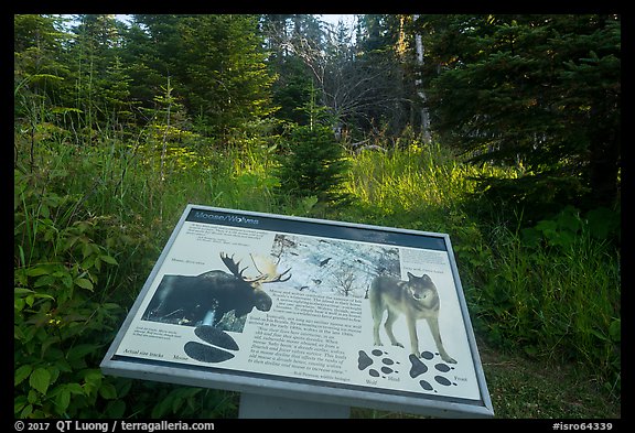 Moose and wolves interpretive sign. Isle Royale National Park, Michigan, USA.