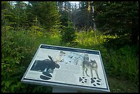 Moose and wolves interpretive sign. Isle Royale National Park ( color)