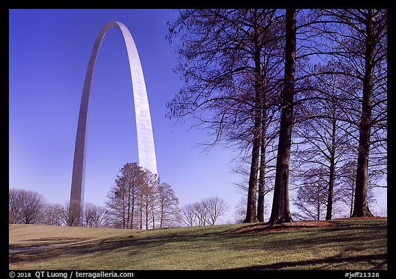 Trees and Arch. Gateway Arch National Park (color)