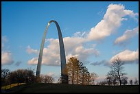 Arch, trees and clouds, winter late afternoon. Gateway Arch National Park ( color)