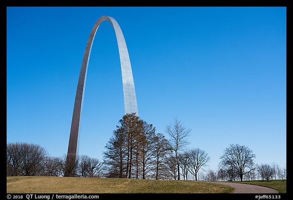 Arch and trees. Gateway Arch National Park (color)