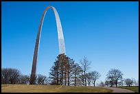 Arch and trees. Gateway Arch National Park ( color)
