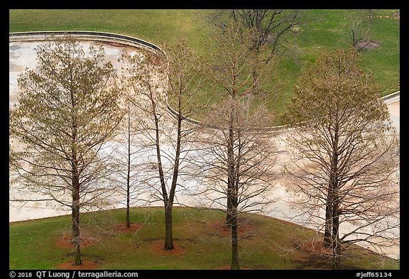 Bare trees and drained North Pond. Gateway Arch National Park (color)