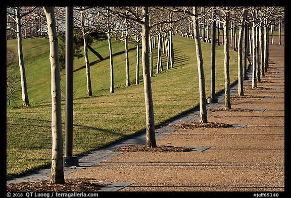 Rosehill Ash monoculture lining up curved pathways in winter. Gateway Arch National Park (color)