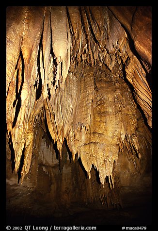 Stalactites in the Frozen Niagara section. Mammoth Cave National Park, Kentucky, USA.