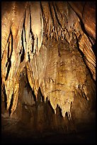 Stalactites in the Frozen Niagara section. Mammoth Cave National Park, Kentucky, USA.