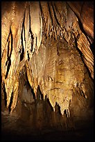 Stalactites in the Frozen Niagara section. Mammoth Cave National Park, Kentucky, USA. (color)