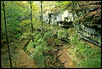 Trees and limestome cliffs in the fall. Mammoth Cave National Park, Kentucky, USA. (color)