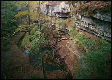 Limestone cliffs and karstic depression in autumn. Mammoth Cave National Park, Kentucky, USA.