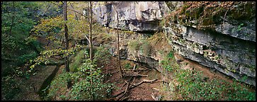 Limestone cliffs and forest. Mammoth Cave National Park (Panoramic color)