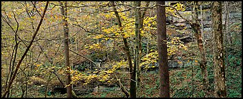 Pictures of Mammoth Cave