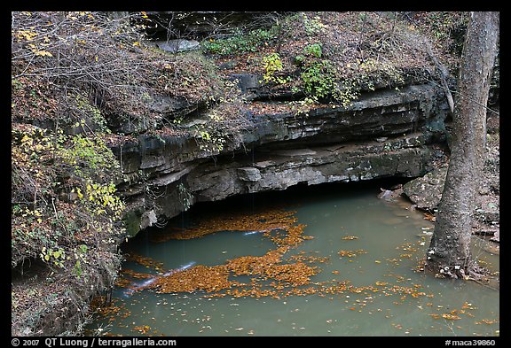 Styx underground river resurgence. Mammoth Cave National Park (color)