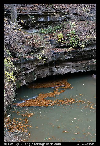 Styx river spring resurgence. Mammoth Cave National Park (color)