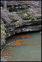 Styx river spring resurgence. Mammoth Cave National Park, Kentucky, USA. (color)