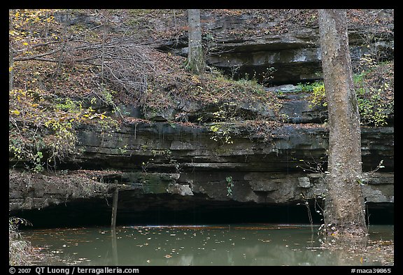 Limestone ledges, trees, and Styx spring. Mammoth Cave National Park (color)