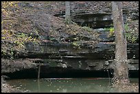 Limestone ledges, trees, and Styx spring. Mammoth Cave National Park, Kentucky, USA.