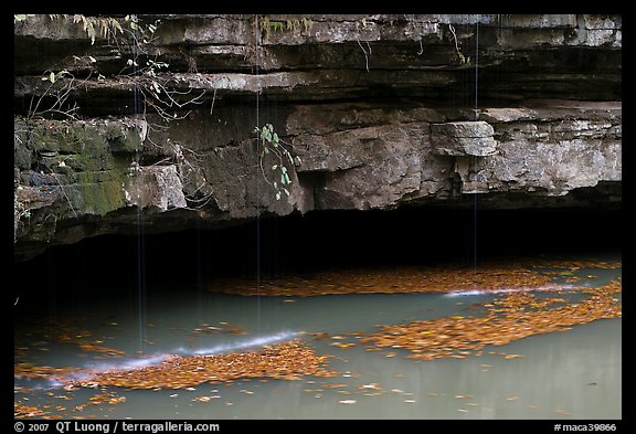 Styx resurgence and limestone ledges. Mammoth Cave National Park (color)
