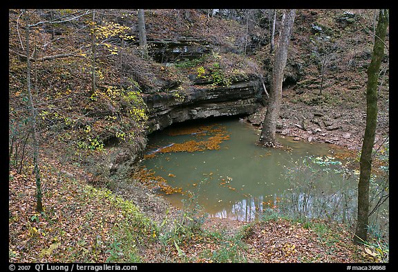 Styx river resurgence in autumn. Mammoth Cave National Park, Kentucky, USA.