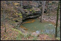 Styx river resurgence in autumn. Mammoth Cave National Park, Kentucky, USA.