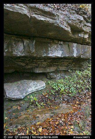 Limestone slabs and overhangs. Mammoth Cave National Park, Kentucky, USA.