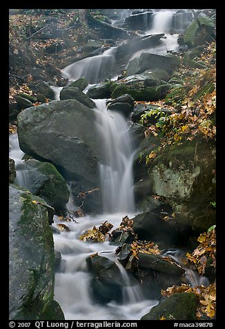 Cascading stream. Mammoth Cave National Park, Kentucky, USA.