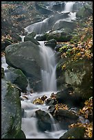 Cascading stream. Mammoth Cave National Park, Kentucky, USA. (color)