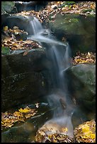 Stream, boulders, and fallen leaves. Mammoth Cave National Park, Kentucky, USA.