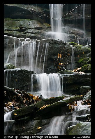 Stream cascading over limestone rocks. Mammoth Cave National Park, Kentucky, USA.