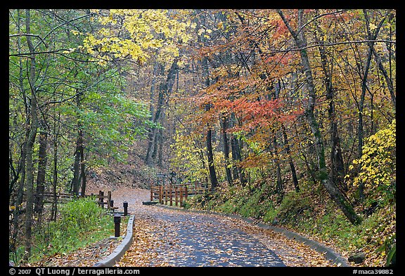 Trail leading to historic cave entrance in the fall. Mammoth Cave National Park (color)
