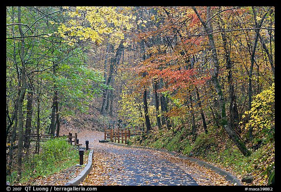 Trail leading to historic cave entrance in the fall. Mammoth Cave National Park, Kentucky, USA.