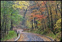 Trail leading to historic cave entrance in the fall. Mammoth Cave National Park, Kentucky, USA. (color)