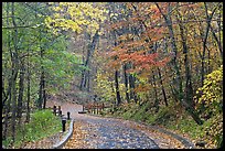 Trail leading to historic cave entrance in the fall. Mammoth Cave National Park, Kentucky, USA.