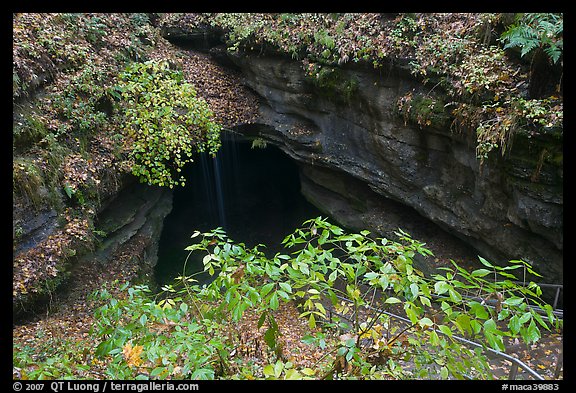 Entrance shaft. Mammoth Cave National Park (color)