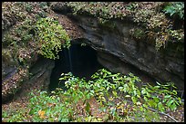 Entrance shaft. Mammoth Cave National Park, Kentucky, USA.