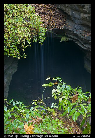 Entrance shaft and rain-fed water drip. Mammoth Cave National Park (color)