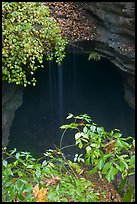 Entrance shaft and rain-fed water drip. Mammoth Cave National Park, Kentucky, USA.